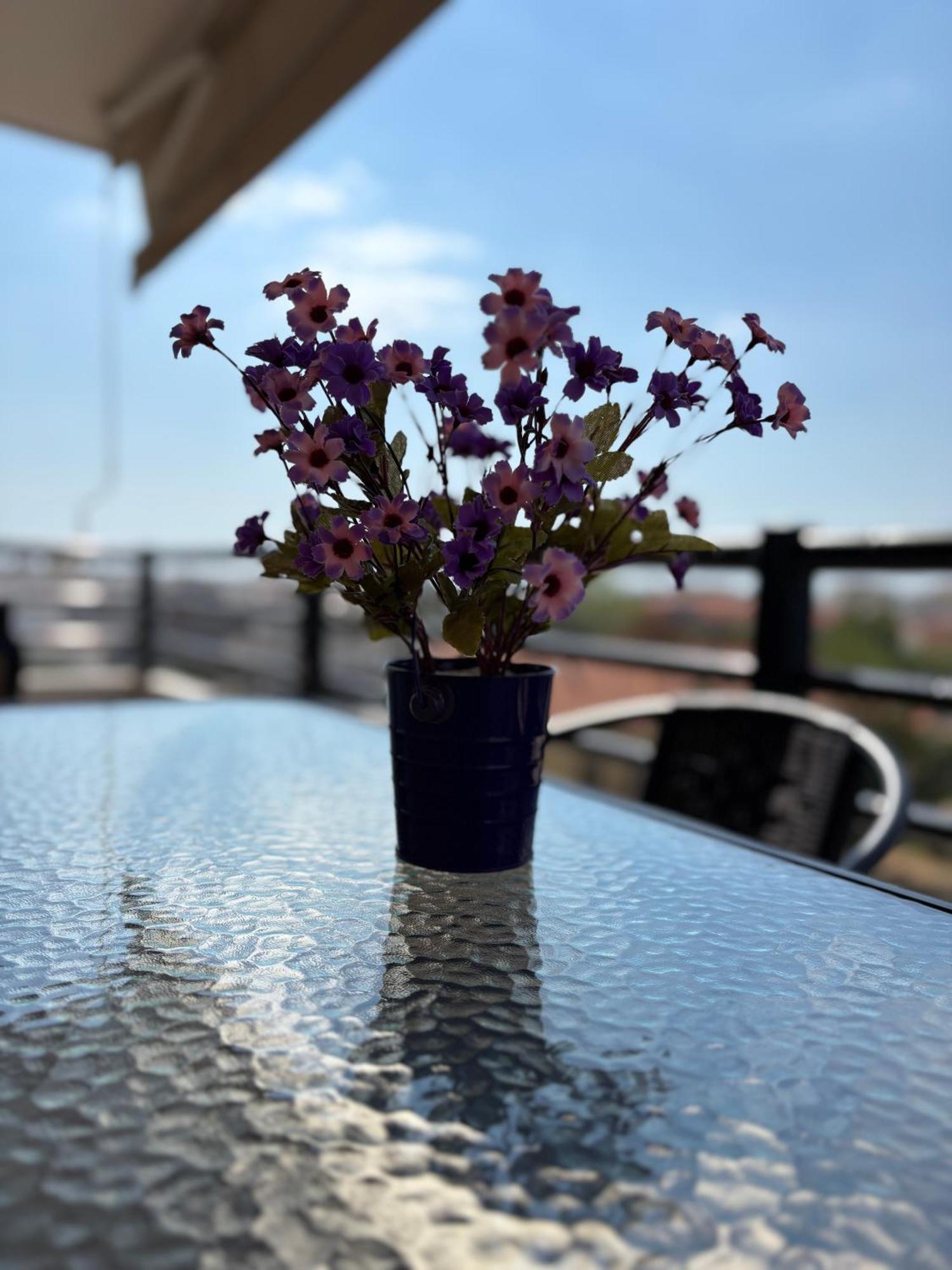 Panoramic View Axd Apartment